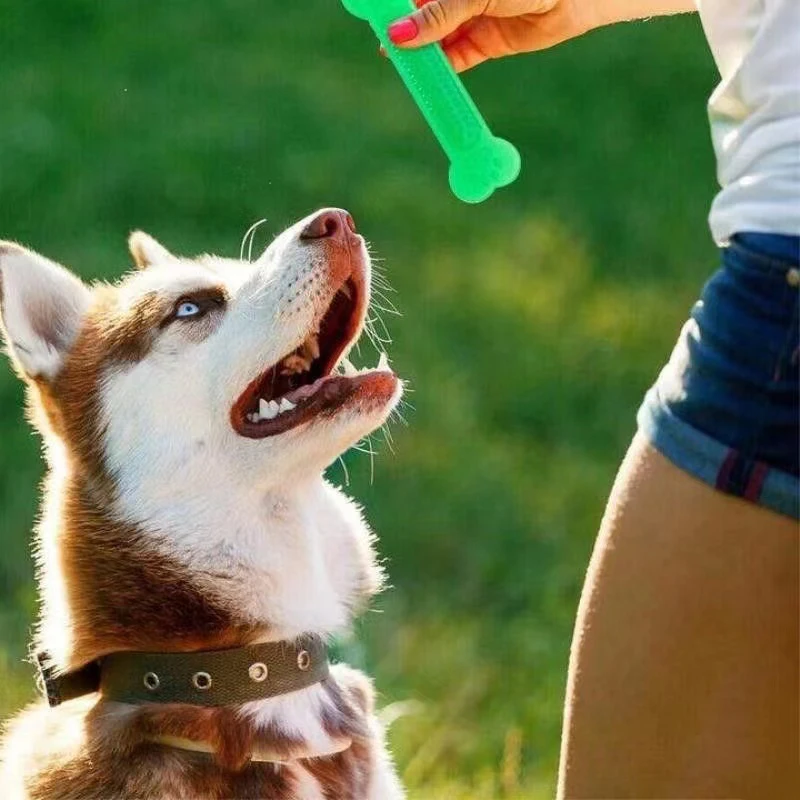 Teeth Cleaning Dog Chew Bone - Mainan Kunyah Tulang Anjing Super Tangguh