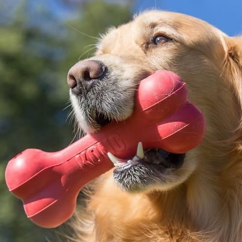 Rubber Treat Dispensing Dog Toy - Tulang Anjing Karet Alami Klasik dan