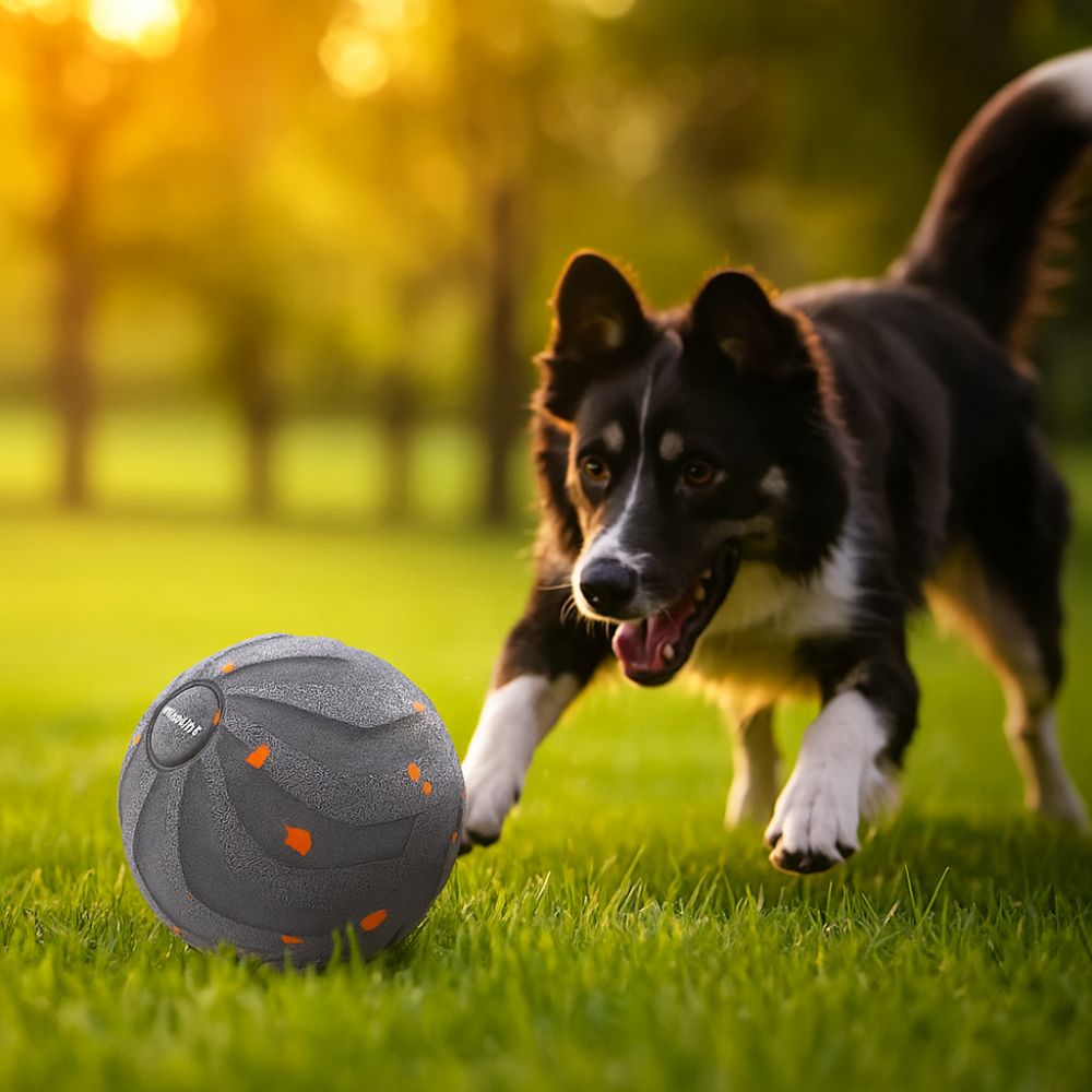 Automatic Moving Dog Ball - Bola Mainan Anjing Pintar Tahan Gigitan,