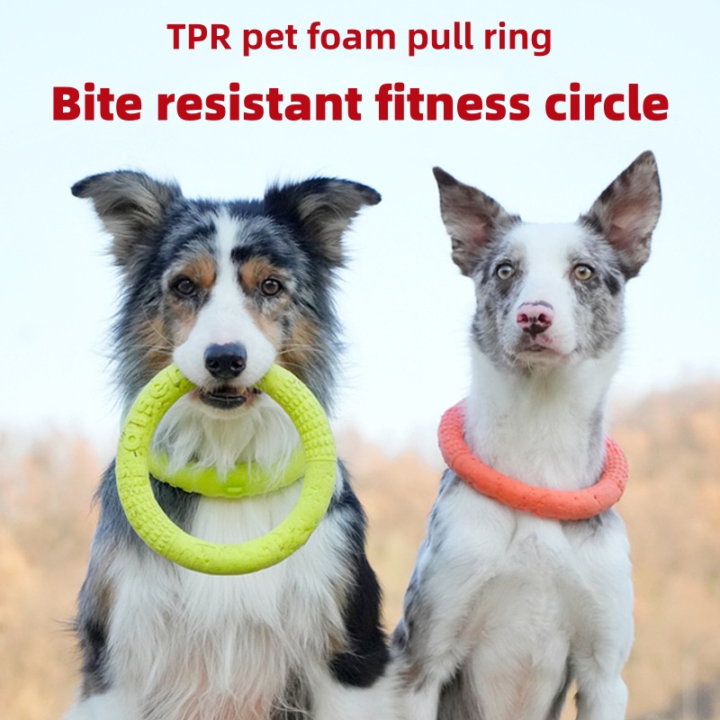 Flying Disc Dog Training Toy - Mainan Anjing Terapung Anti Air EVA