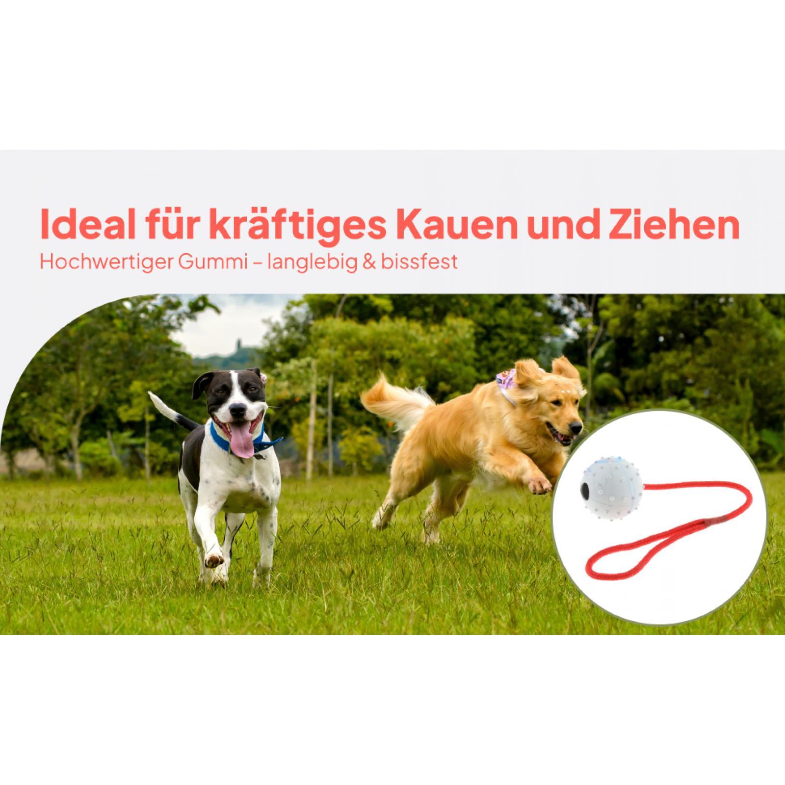 Rubber Treat Dispensing Dog Toy - Mainan Pelatihan Hewan Peliharaan Bola Kunyah