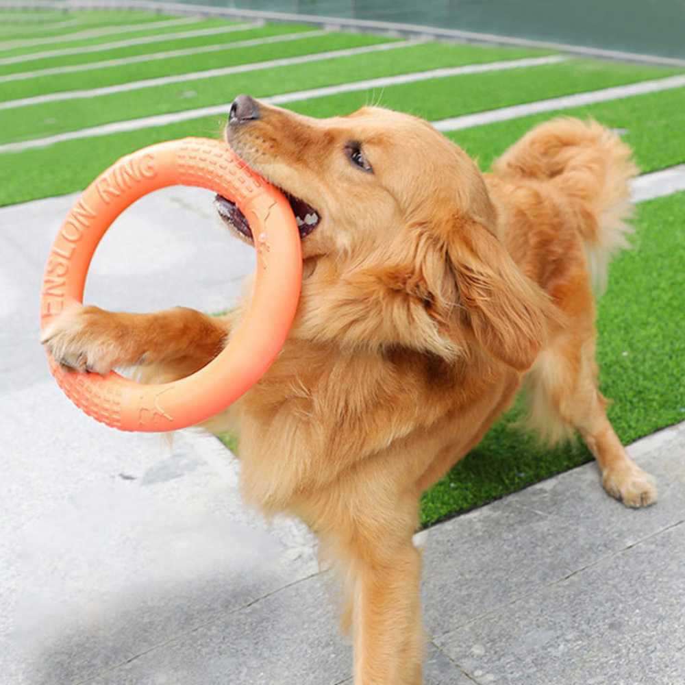 1 buah mainan anjing hewan pel - Suction Cup Dog Tug Toy ulasan dan harga