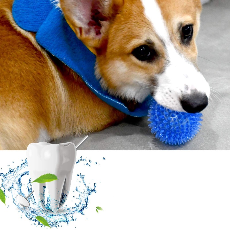 Bola Mainan Hewan Peliharaan u - Interactive Squeaky Plush Dog Toy ulasan dan harga