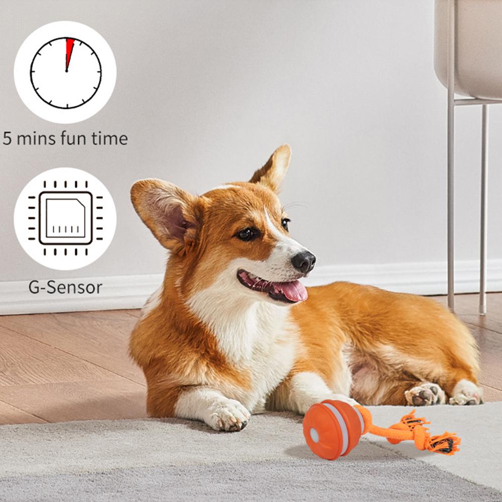 Bola Hewan Peliharaan untuk An - Automatic Moving Dog Ball ulasan dan harga