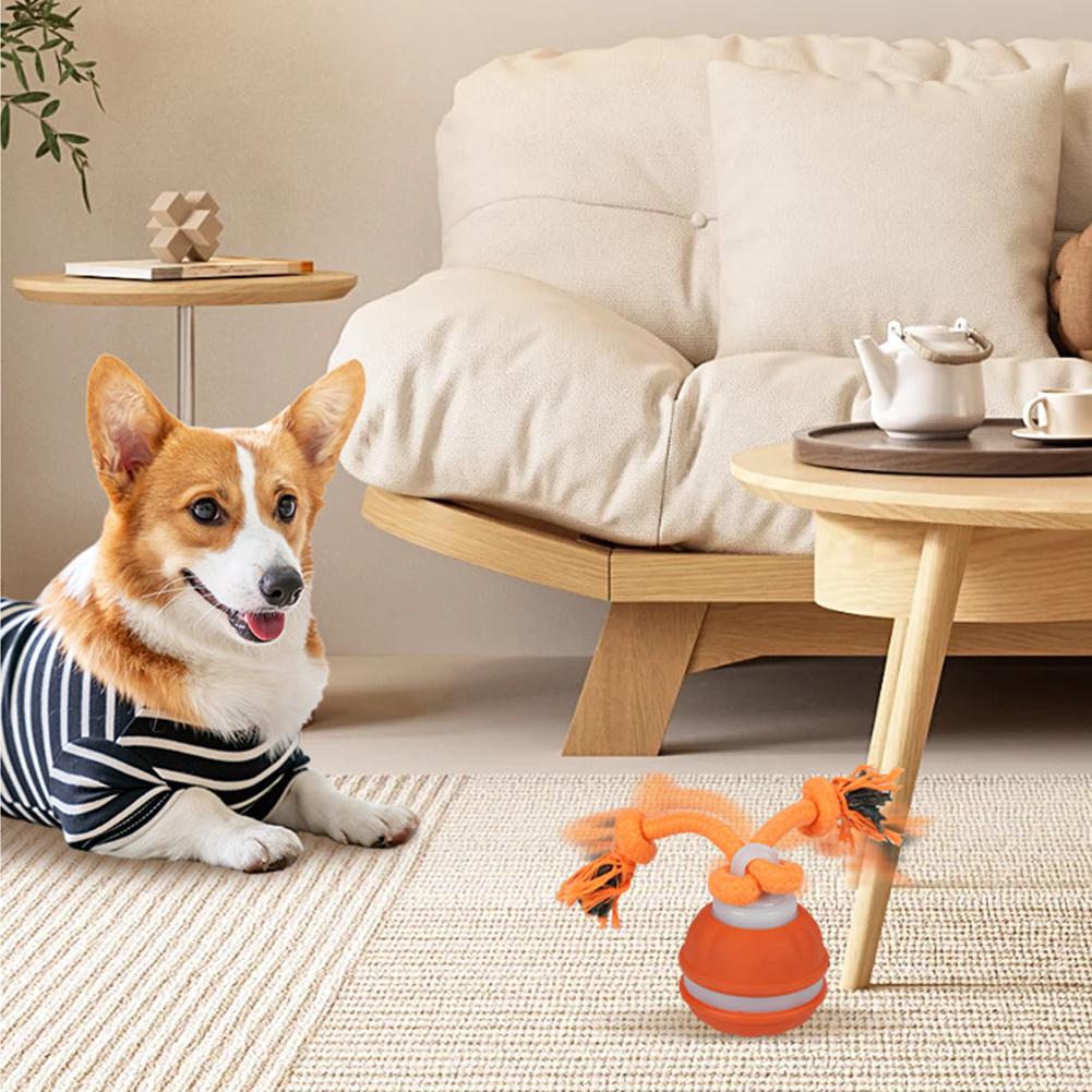 Bola Hewan Peliharaan untuk An - Automatic Moving Dog Ball ulasan dan harga
