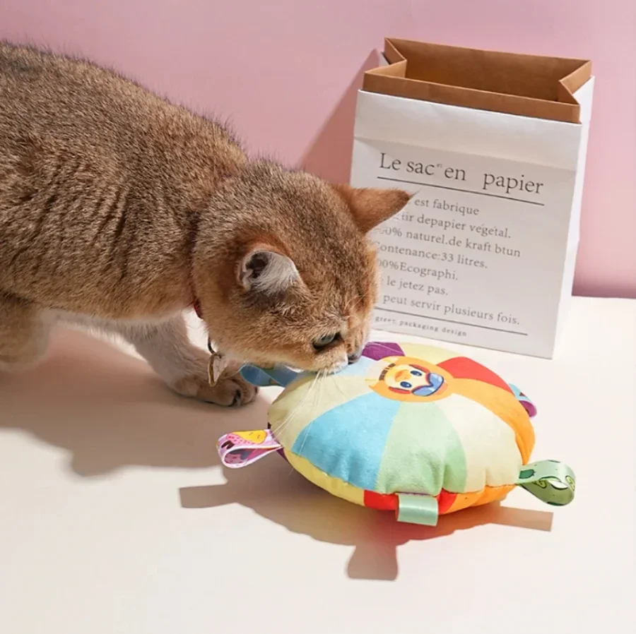 Mainan Anjing Berbentuk Cakram - Flying Disc Dog Training Toy ulasan dan harga