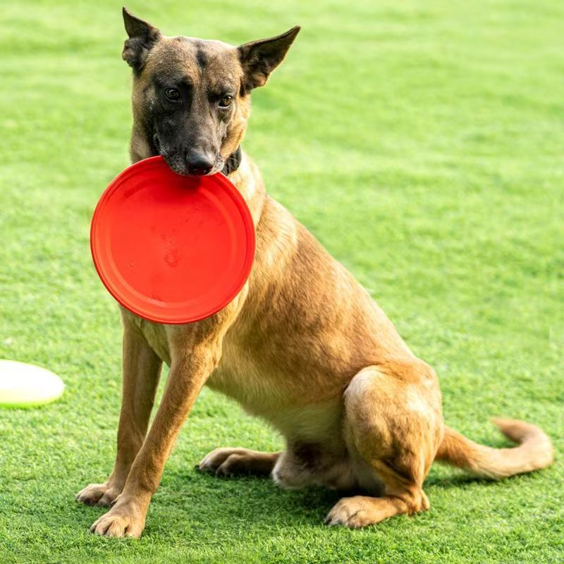 Frisbee Anjing Plastik Keras M - Flying Disc Dog Training Toy ulasan dan harga