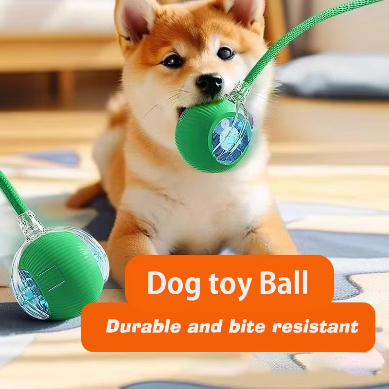 Mainan Bola Interaktif Anjing  - Automatic Moving Dog Ball ulasan dan harga