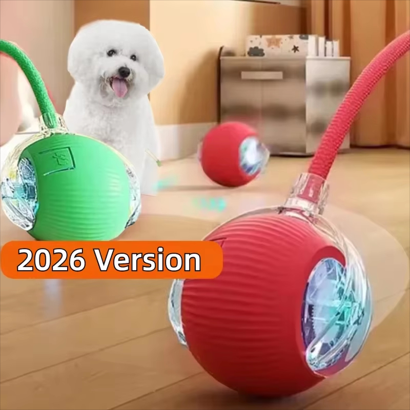 Mainan Bola Interaktif Anjing  - Automatic Moving Dog Ball ulasan dan harga