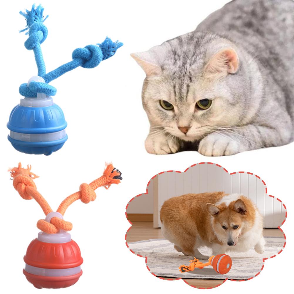 Bola Anjing Pintar Isi Ulang,  - Automatic Moving Dog Ball ulasan dan harga