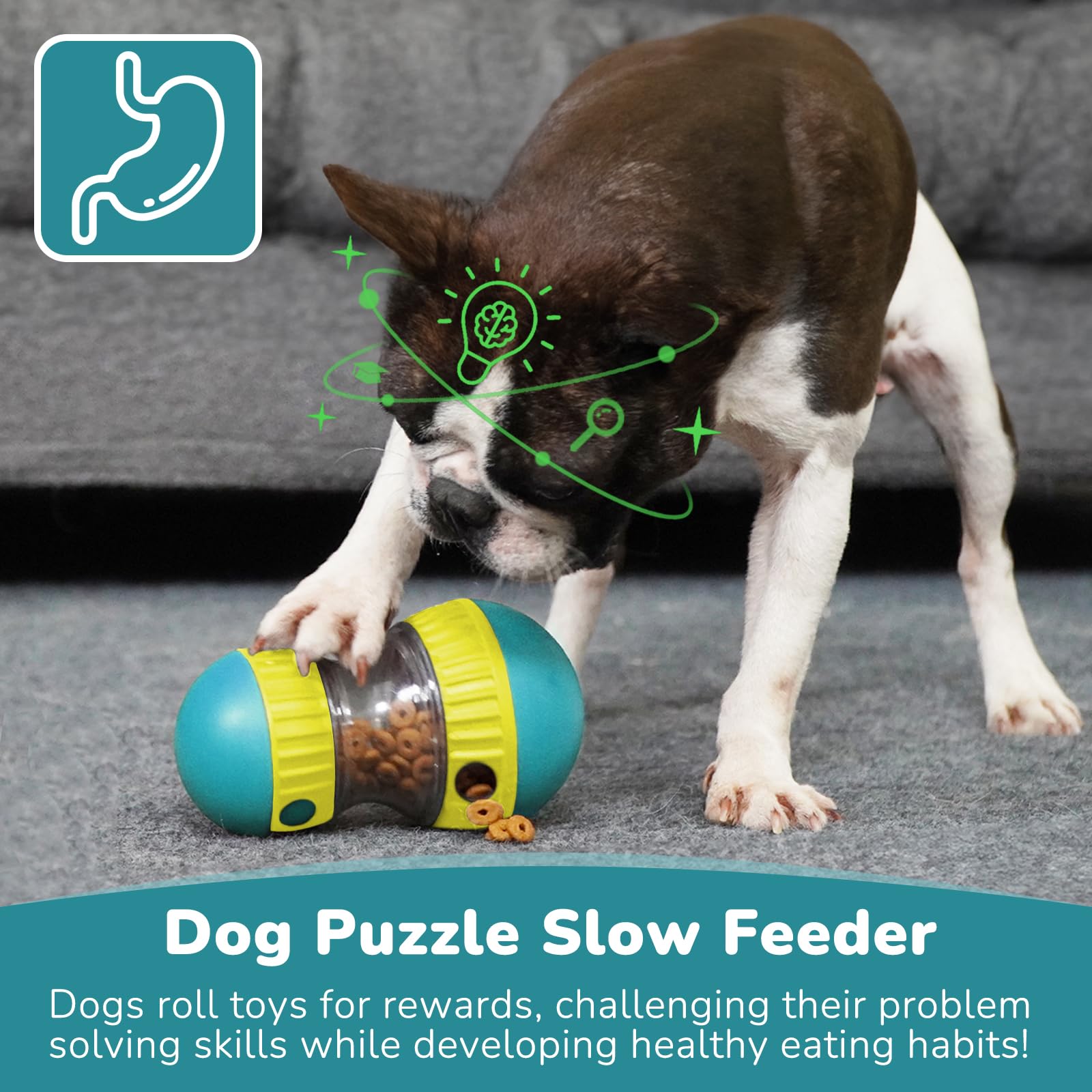 Mainan Anjing & Bola Pengumpan - Dog Puzzle Feeder Toy ulasan dan harga