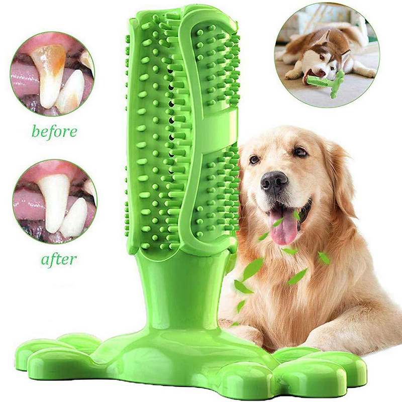 Anjing peliharaan kaktus karet - Rubber Treat Dispensing Dog Toy ulasan dan harga