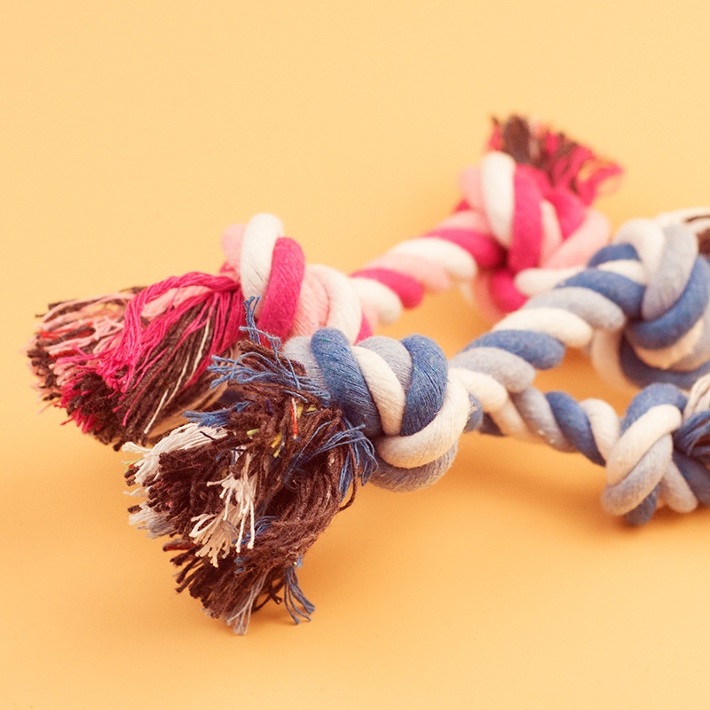 Mainan Anjing Tali Katun Tahan - Interactive Squeaky Plush Dog Toy ulasan dan harga