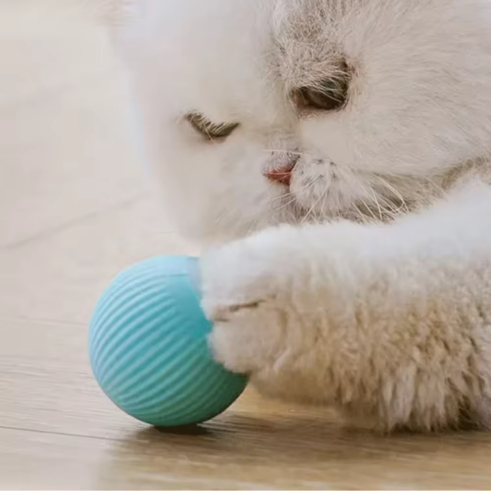 Bola Bergerak Otomatis untuk A - Automatic Moving Dog Ball ulasan dan harga