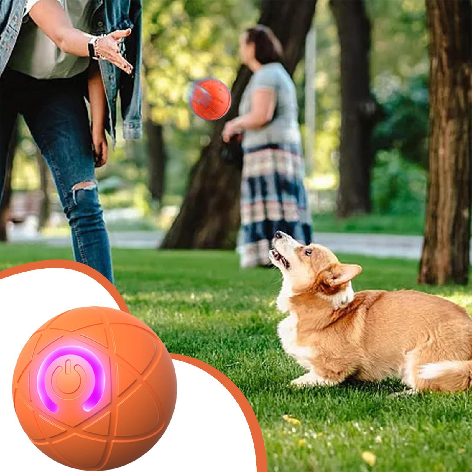 Mainan Anjing Interaktif Cerda - Automatic Moving Dog Ball ulasan dan harga