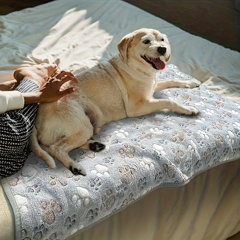 Handuk Hewan Peliharaan yang N - Pet Beds ulasan dan harga