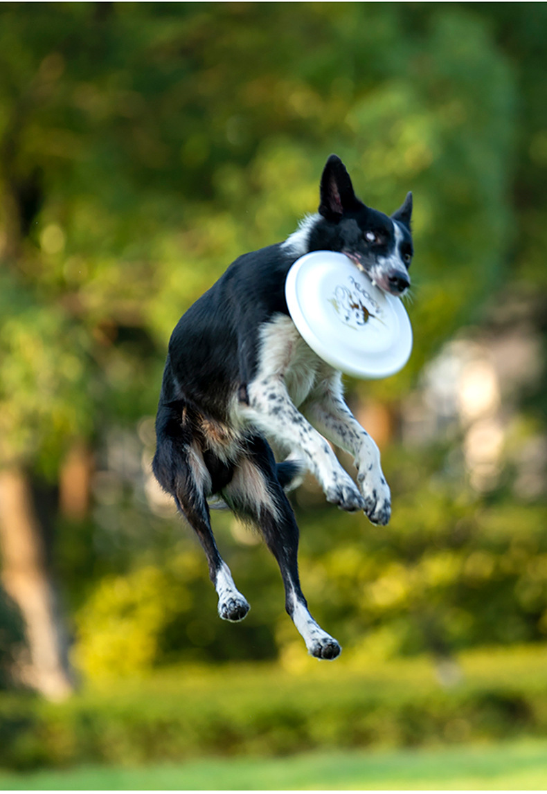 OUZEY mainan cakram terbang ta - Flying Disc Dog Training Toy ulasan dan harga