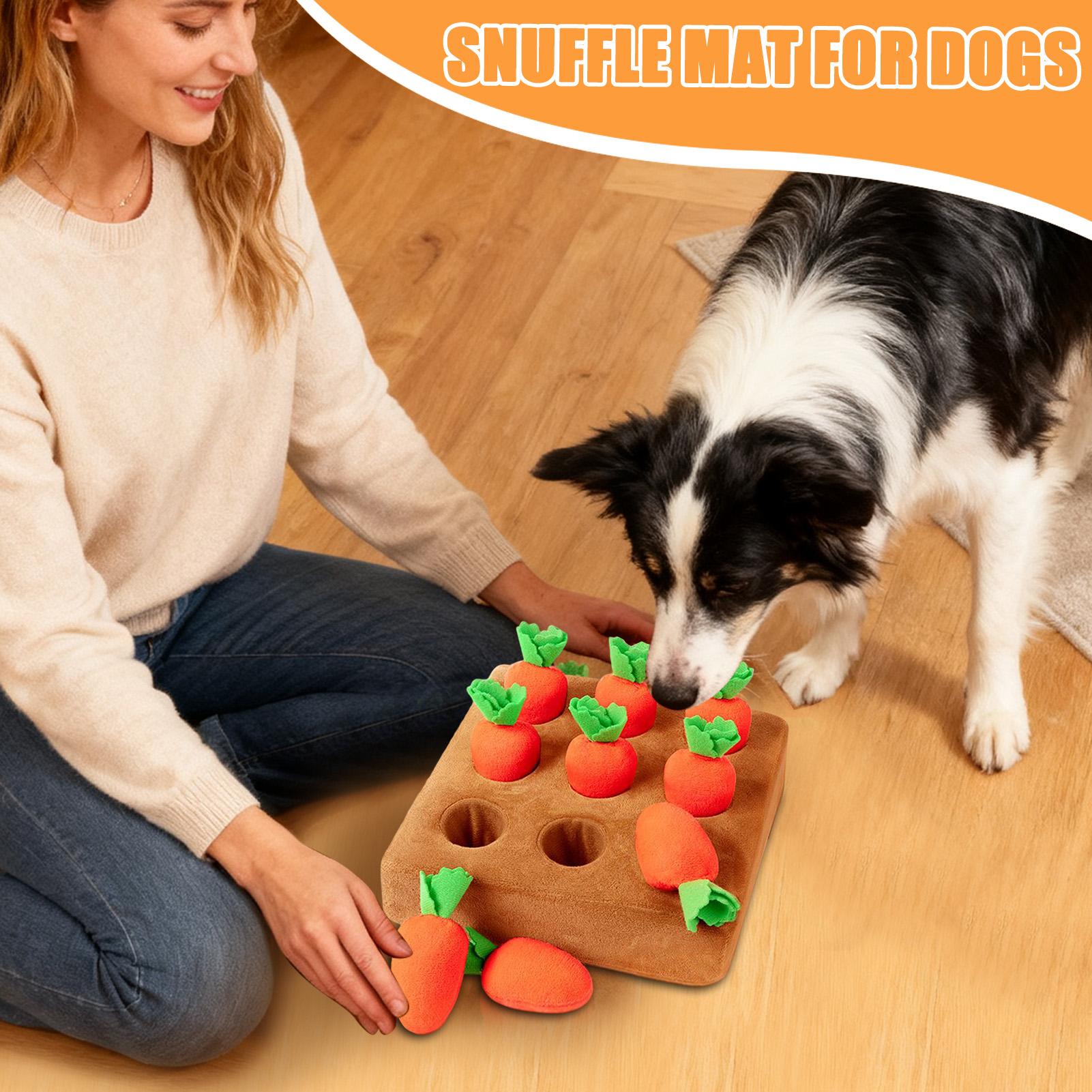 Alas Snuffle untuk Anak Anjing - Snuffle Mat For Dogs ulasan dan harga