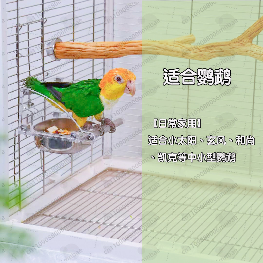 Kotak makanan burung beo baja  - Pet Feeders ulasan dan harga
