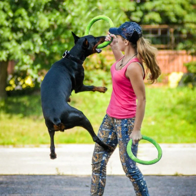 Mainan Anjing, Cakram Terbang  - Flying Disc Dog Training Toy ulasan dan harga