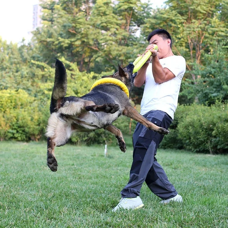 Mainan Anjing, Cakram Terbang  - Flying Disc Dog Training Toy ulasan dan harga