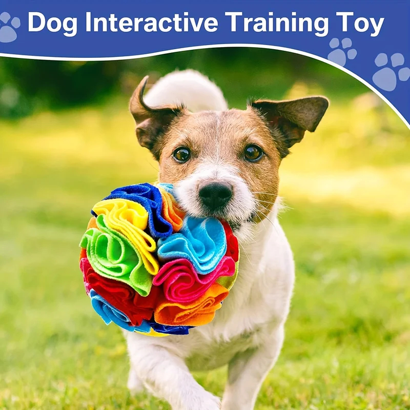 Mainan Anjing Interaktif Bola  - Snuffle Mat For Dogs ulasan dan harga