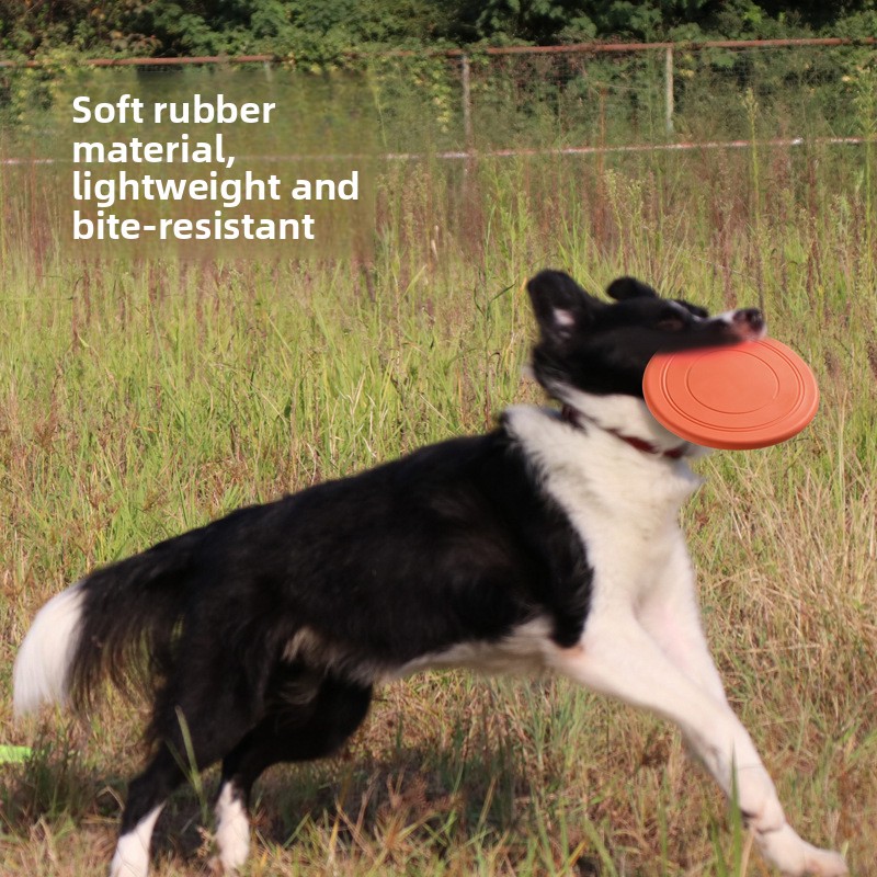 Mainan Anjing Terapung Tahan G - Flying Disc Dog Training Toy ulasan dan harga