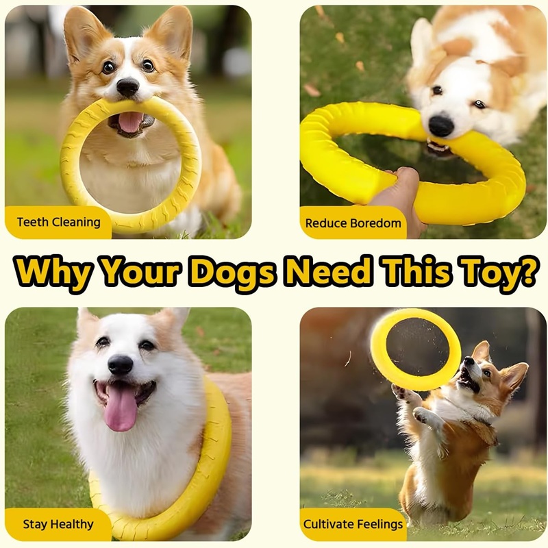 Mainan Anjing, Cakram Terbang  - Suction Cup Dog Tug Toy ulasan dan harga