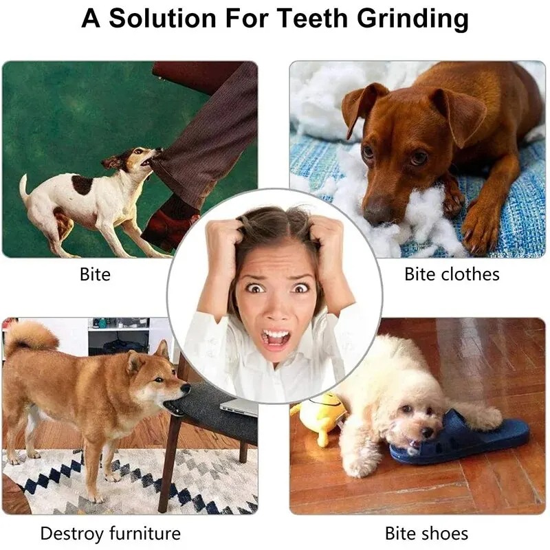 1 Pcs Bola Camilan Anjing Main - Rubber Treat Dispensing Dog Toy ulasan dan harga