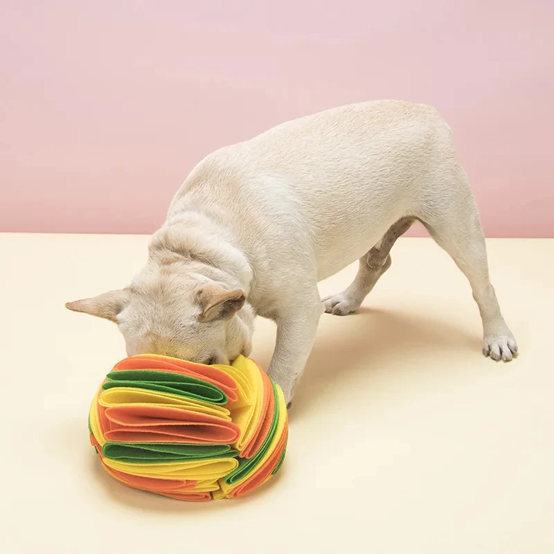 Tikar bola anjing Snuffle, lat - Snuffle Mat For Dogs ulasan dan harga