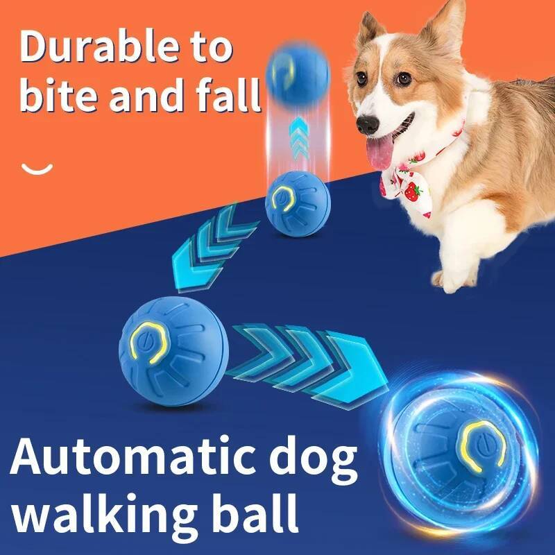Bola Mainan Anjing Pintar Elek - Automatic Moving Dog Ball ulasan dan harga