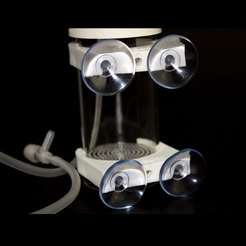 Inkubator Penetasan Ikan Cichl - Aquarium ulasan dan harga