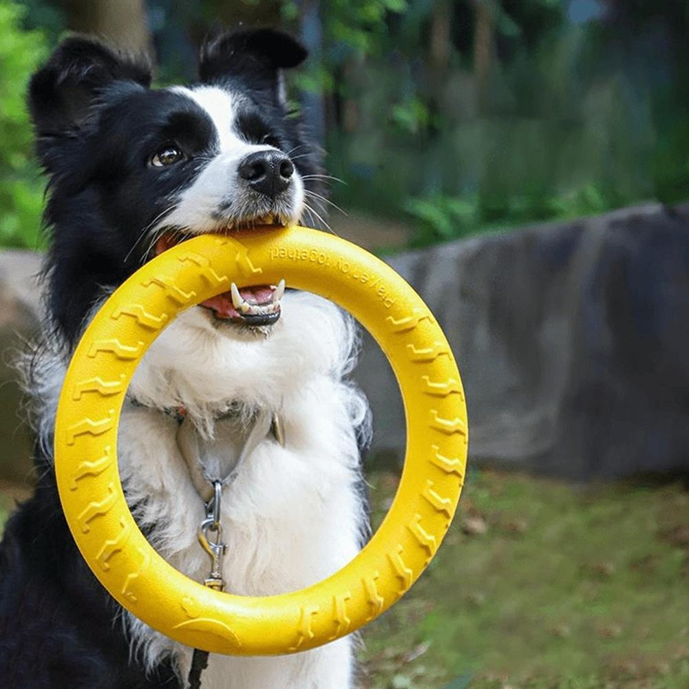 Mainan Cincin Anjing yang Taha - Indestructible Dog Chew Toy ulasan dan harga