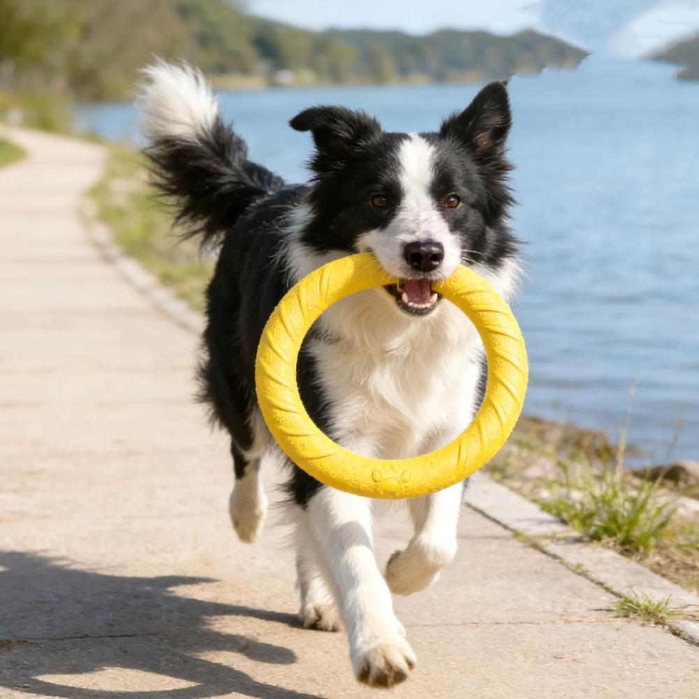 Mainan Cincin Anjing yang Taha - Indestructible Dog Chew Toy ulasan dan harga