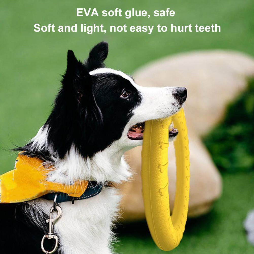 Mainan Cincin Anjing yang Taha - Indestructible Dog Chew Toy ulasan dan harga