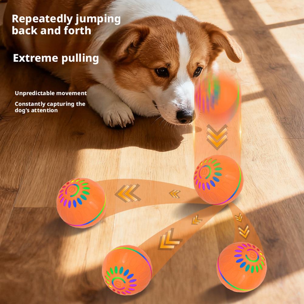 Bola Anjing Pintar Otomatis Be - Automatic Moving Dog Ball ulasan dan harga
